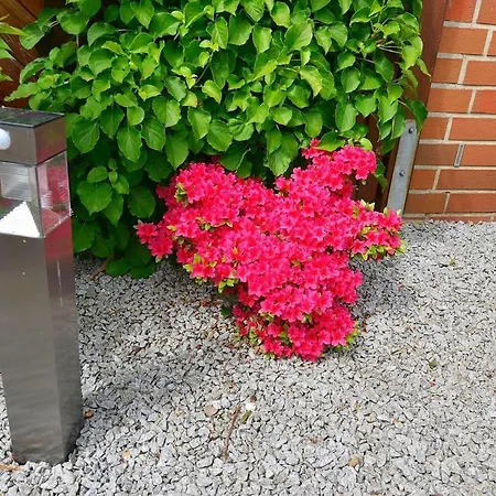 Appartamento Flockengrund V15U Cuxhaven Esterno foto